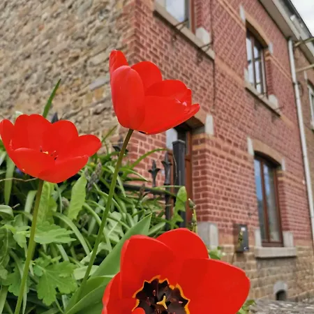 L'echappee Belle בית כפרי *